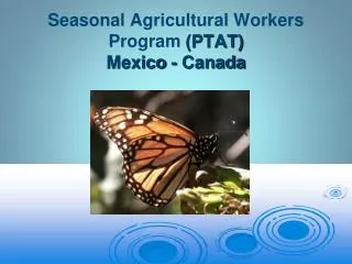 Seasonal Agricultural Workers Program (PTAT) Mexico - Canada
