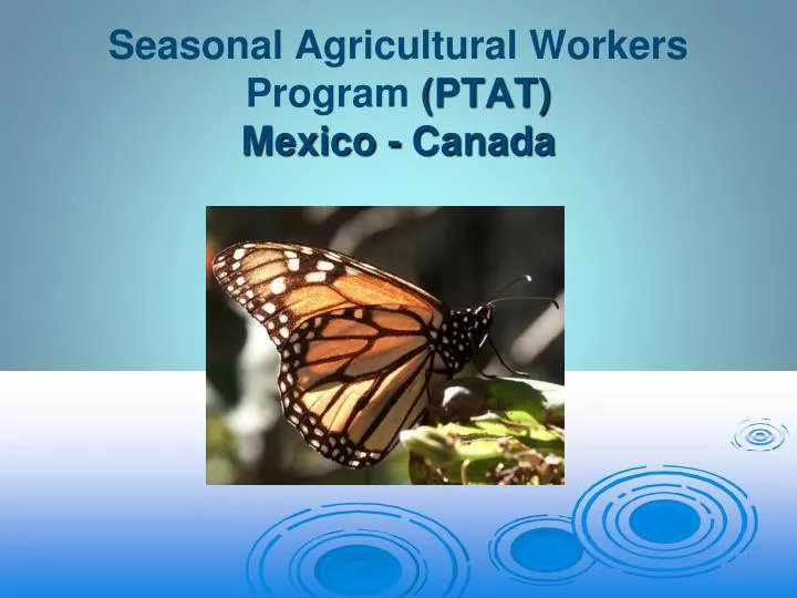 seasonal agricultural workers program ptat mexico canada