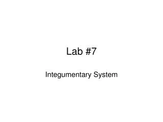 Lab #7