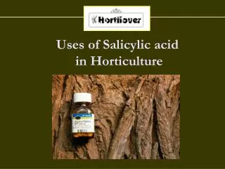 Uses of Salicylic acid in Horticulture