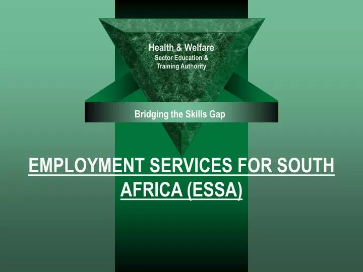 employment services for south africa essa