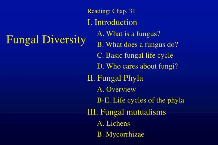 fungal diversity