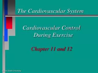 The Cardiovascular System