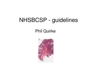 NHSBCSP - guidelines