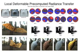 Local Deformable Precomputed Radiance Transfer