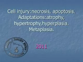 Cell injury:necrosis, apoptosis. Adaptations:atrophy, hypertrophy,hyperplasia. Metaplasia.