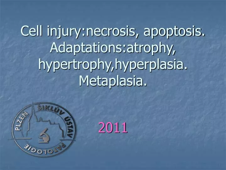 cell injury necrosis apoptosis adaptations atrophy hypertrophy hyperplasia metaplasia