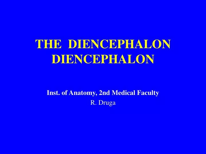the diencephalon diencephalon
