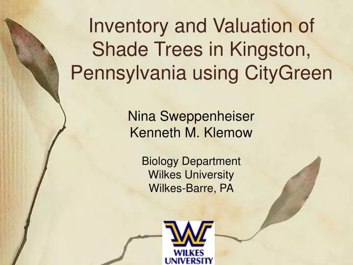 inventory and valuation of shade trees in kingston pennsylvania using citygreen