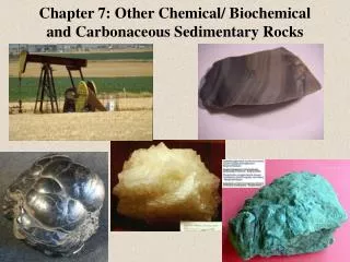 Chapter 7: Other Chemical/ Biochemical and Carbonaceous Sedimentary Rocks