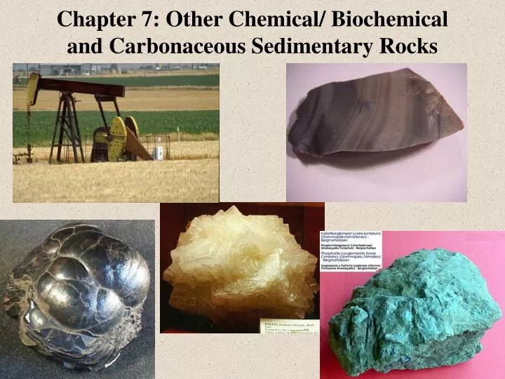 chapter 7 other chemical biochemical and carbonaceous sedimentary rocks