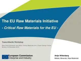 The EU Raw Materials Initiative - Critical Raw Materials for the EU -