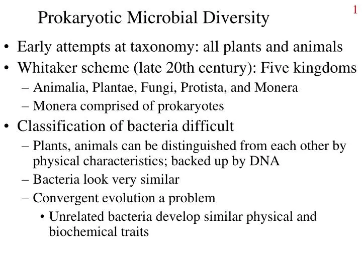 prokaryotic microbial diversity
