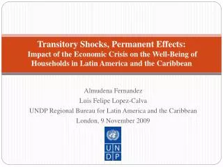 Transitory Shocks, Permanent Effects: Impact of the Economic Crisis on the Well-Being of Households in Latin America an