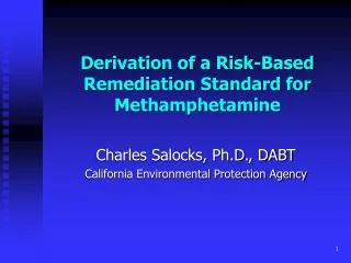 Derivation of a Risk-Based Remediation Standard for Methamphetamine
