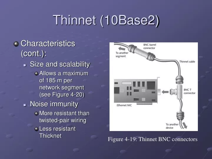 thinnet 10base2