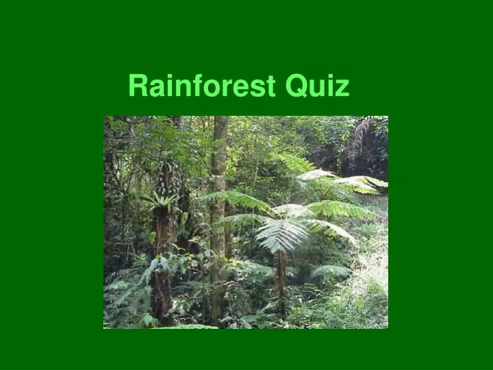 rainforest quiz