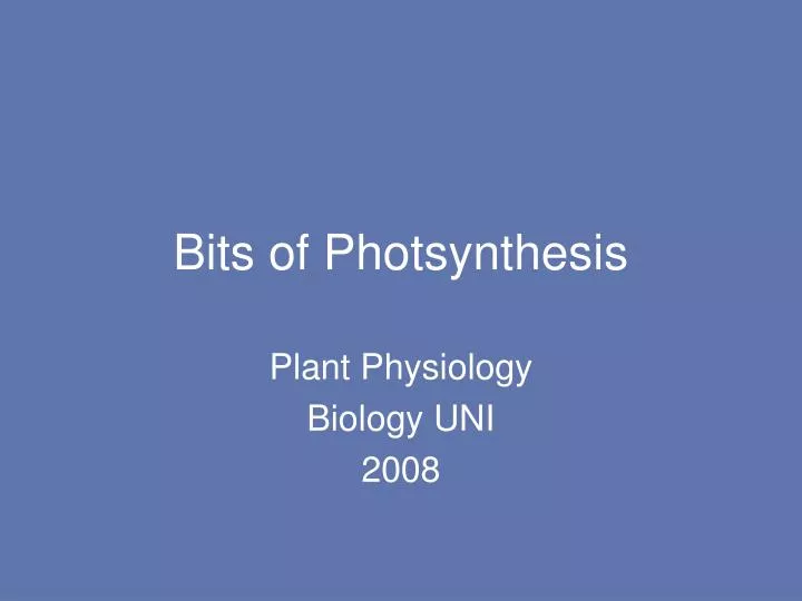 bits of photsynthesis
