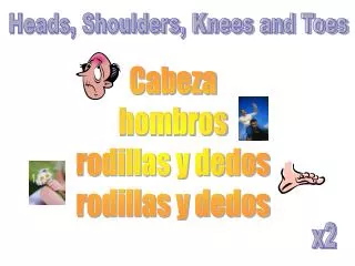 Heads, Shoulders, Knees and Toes