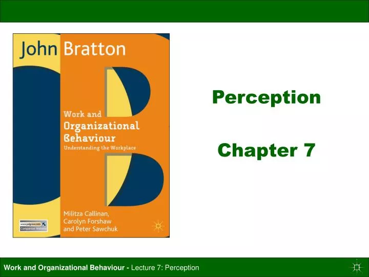 perception chapter 7