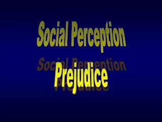 Social Perception Prejudice