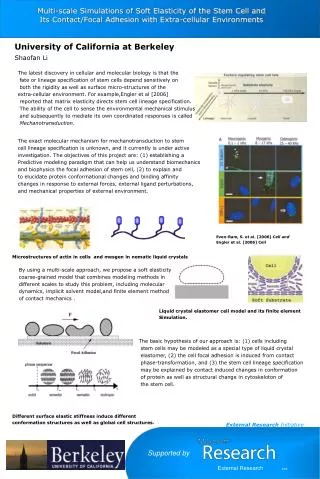 Multi-scale Simulations of Soft Elasticity of the Stem Cell and Its Contact/Focal Adhesion with Extra-cellular Environm