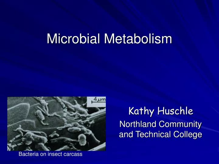 microbial metabolism