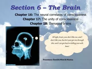 Section 6 – The Brain