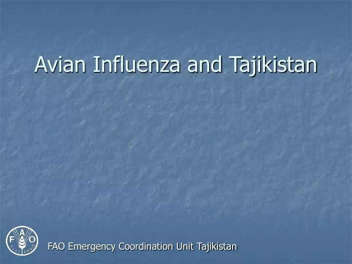 avian influenza and tajikistan