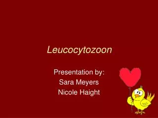 Leucocytozoon