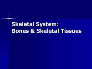Skeletal System: Bones &amp; Skeletal Tissues