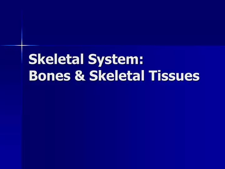 skeletal system bones skeletal tissues