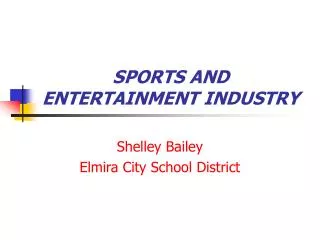 SPORTS AND ENTERTAINMENT INDUSTRY