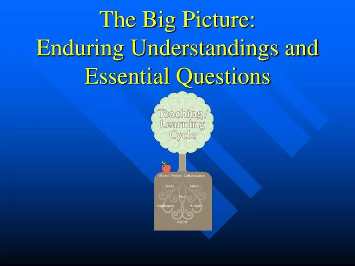 the big picture enduring understandings and essential questions