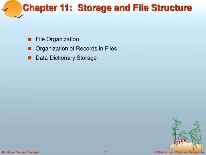 chapter 11 storage and file structure