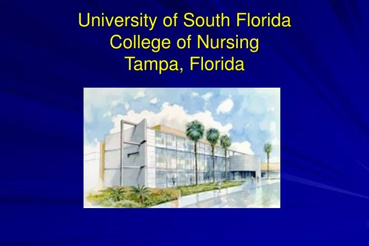 university of south florida college of nursing tampa florida