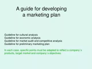 A guide for developing a marketing plan