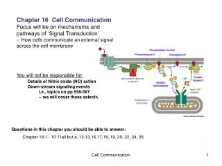 Chapter 16 Cell Communication Focus will be on mechanisms and pathways of ‘Signal Transduction’