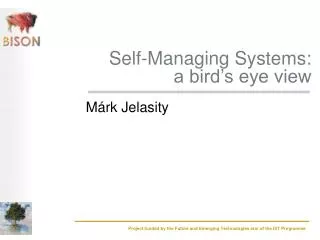 Self-Managing Systems: a bird’s eye view
