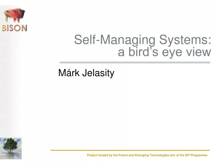 self managing systems a bird s eye view