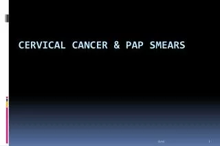 Cervical Cancer &amp; Pap Smears