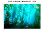 Biology of Seaweeds – Kelp Beds and Forests - slide 1