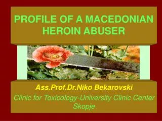 PROFILE OF A MACEDONIAN HEROIN ABUSER
