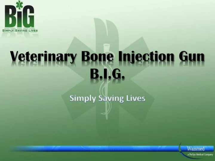veterinary bone injection gun b i g