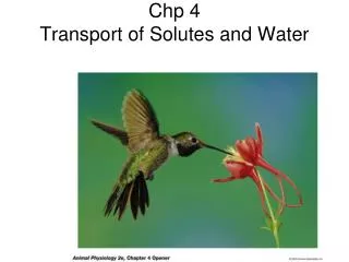 Chp 4 Transport of Solutes and Water