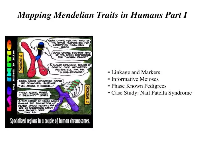 mapping mendelian traits in humans part i