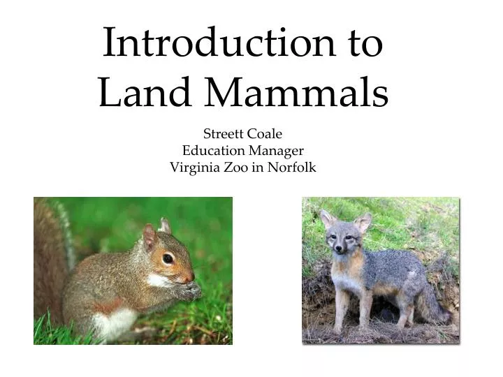 introduction to land mammals