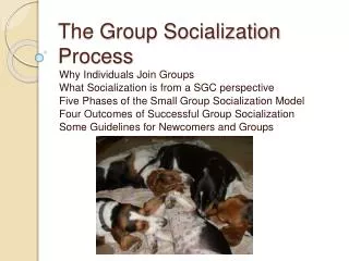 The Group Socialization Process