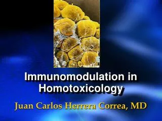 immunomodulation in homotoxicology