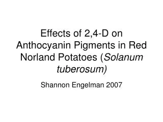 Effects of 2,4-D on Anthocyanin Pigments in Red Norland Potatoes ( Solanum tuberosum)
